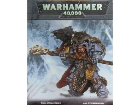 Space Wolves: Njal Stormcaller in Terminator Armour Supply