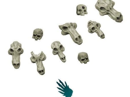 Wolves Skulls on Sale