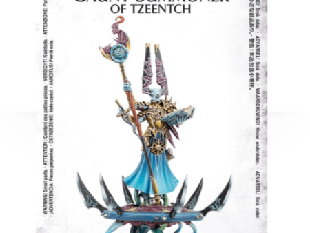 Disciples of Tzeentch:  Gaunt Summoner on Disc of Tzeentch Cheap